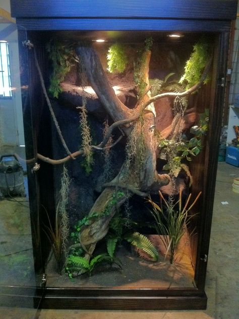 Reptile Vivarium, Reptile Background, Bearded Dragon Terrarium Ideas, Tarantula Enclosure, Chameleon Cage, Snake Cages, Aquarium Diy, Diy Reptile, Snake Terrarium