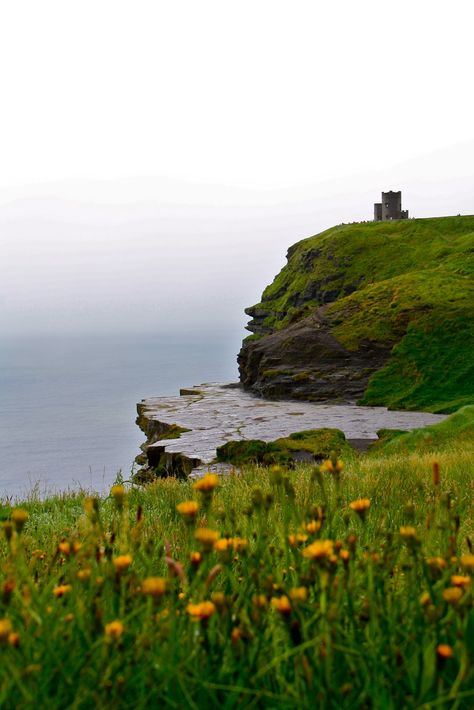 Yes I want to get married in the middle of green Ireland, surprising considering I am not the biggest fan of nature, but that view cannot be recreated. Ireland Core, Ireland Landscape Nature, Ireland Scenery, Aesthetic Ireland, Irish Aesthetic, Irish Beach, Ireland Aesthetic, Beautiful Ireland, Beautiful Countries