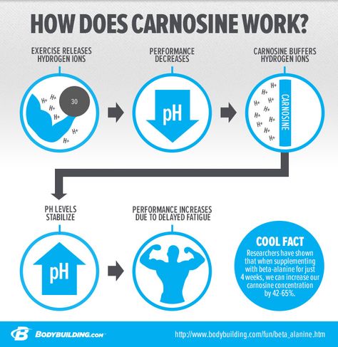 Beta-alanine efficacy is backed by major university and peer-reviewed studies. In reading this article, you will understand how beta-alanine works. You will also learn how to maximize its use and how it can help you safely. Muscular Strength Exercises, Beast Mode Workout, Muscular Strength, Muscular Endurance, Beta Alanine, Energy Supplements, Workout At Work, Flexible Dieting, Skeletal Muscle