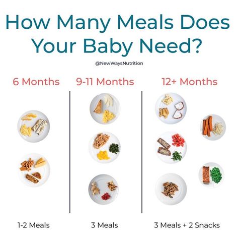 Everything you need to know about giving your baby solid foods – Melinda's Wonders and Wanderings Baby Weaning Foods, Baby Food Guide, Fingerfood Baby, Baby Led Weaning First Foods, Baby Solid Food, Weaning Foods, Baby Led Feeding, Baby Food Chart, Baby Led Weaning Recipes