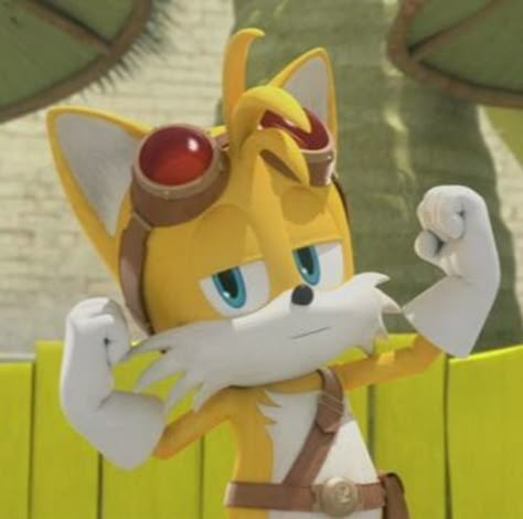 Miles Prower, Tails Boom, Tails Sonic, Sonic And Tails, Miles Tails Prower, Sonic Tails, Dont Mess With Me, Sonic Friends, Sonic 3