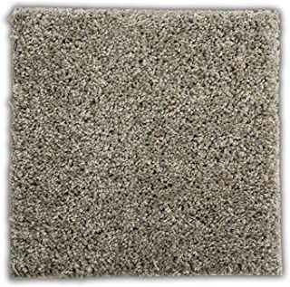 Amazon.com : peel and stick carpet tiles Peel And Stick Carpet, Interior House Colors, Interior Colour, Colour Ideas, Carpet Tiles, Colorful Interiors, Shag Rug, House Interior, Carpet