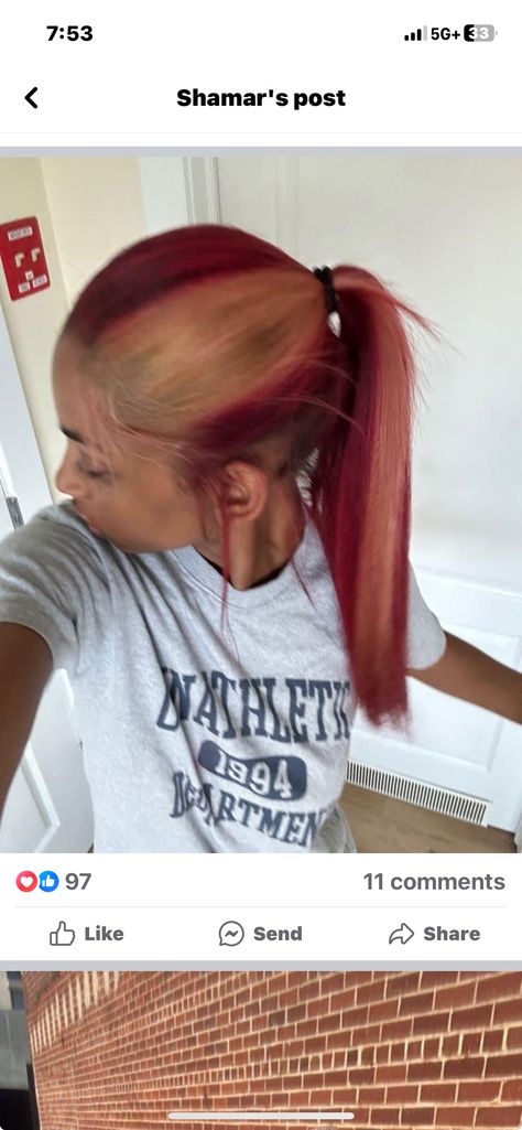 Different Hair Dye Colors, Cute Color For Hair, Color Hair Inspo Aesthetic, Fall Theme Hair Color, Brown Hair With Red Skunk Stripe, Pbj Hair Dye, Honey Blonde And Burgundy Hair, Hair Dye Ideas Red And Brown, Hair Color Ideas On Dark Skin