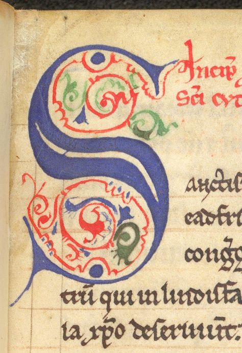 Initials and Capital Letters - #31daysofmedievalmanuscripts #write31days Sca Illumination, Medieval Drawings, Illustrated Manuscript, Book Of Kells, Book Of Hours, Medieval Manuscript, Illuminated Letters, Capital Letters, Calligraphy Letters