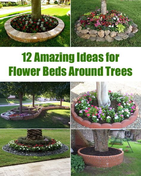 12 Amazing Ideas for Flower Beds Around Trees Saved from : Handy Home Tips Flower Beds Around Trees, Beds Around Trees, Trees For Front Yard, Landscaping Around Trees, Garden Flower Beds, Front Yard Landscaping Simple, Front House Landscaping, Garden Landscape Design, Front Yard Landscaping Design