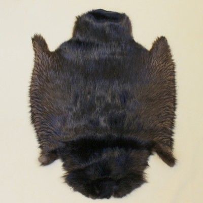 Glacier Wear - Beaver Pelts For Sale Beaver Pelt, Diy Winter, Animal Fur, Sewing Material, Winter Diy, Leather Hide, Sewing Supplies, Tanning, North America