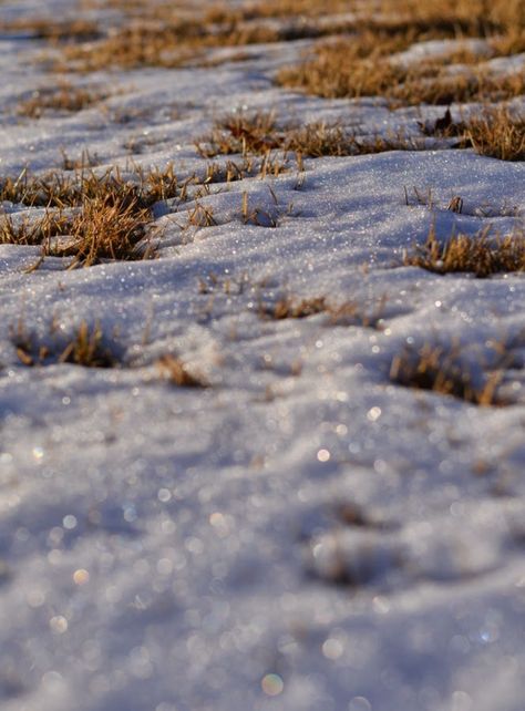 End Of Winter Aesthetic, Snow Melting Spring Aesthetic, Snow Melting Aesthetic, Melting Snow Aesthetic, Snow Melt, Melting Snow, Snow Texture, Sun Aesthetic, Spring Snow