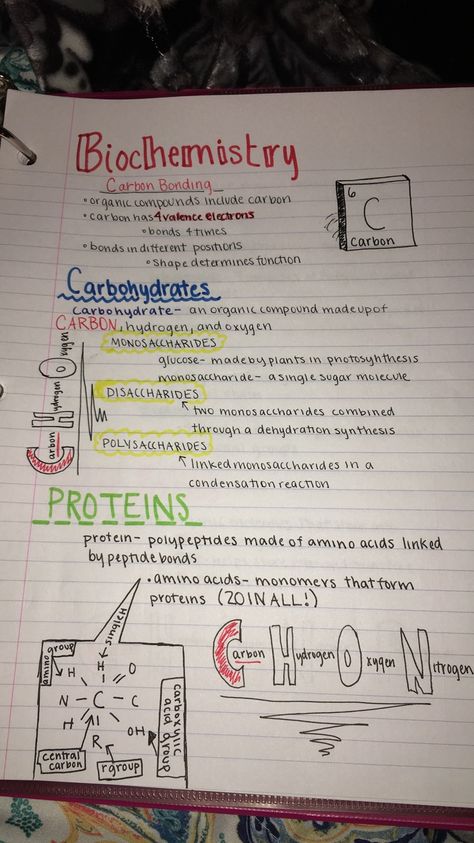 biochemistry notes pre ap biology Chemistry Of Life Biology, Biochemistry Aesthetic Notes, Bsc Biotechnology Notes, Biomolecules Notes Chemistry, Ap Biology Notes Aesthetic, Biomolecules Notes Biology, Biochemistry Aesthetic, Ap Biology Notes, Biochemistry Major