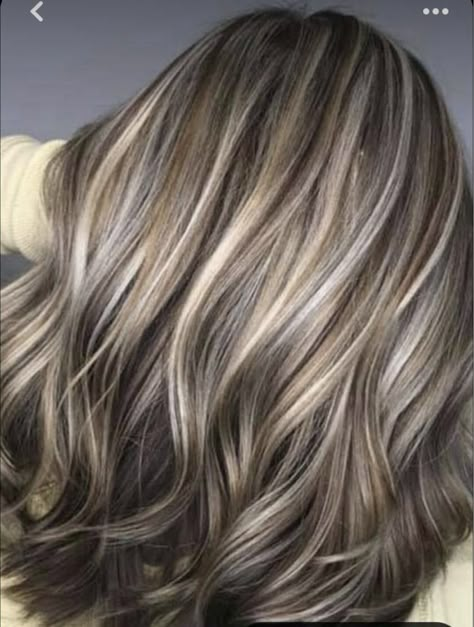 Ash Brown Grey Highlights, Grey Babylights In Brown Hair, Light Brown With Gray Highlights, Partial Grey Highlights, Low Lights With Grey Hair, Transitioning Brown Hair To Gray, Caramel Highlights On Grey Hair, Medium Brown Hair With Gray Highlights, Highlight To Blend Grey Hair