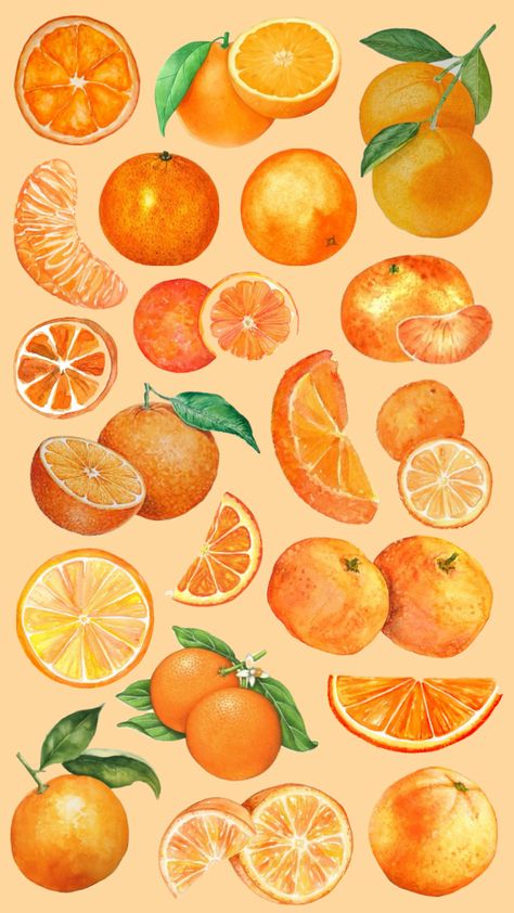 #orange Wigit Pictures, Citrus Aesthetic, Orange Fruit Aesthetic, Orange Widget, Orange Fruit Wallpaper, Wallpaper Oranges Fruit, Oranges Illustration Fruit, Orange Drawing, Orange Fruit Background