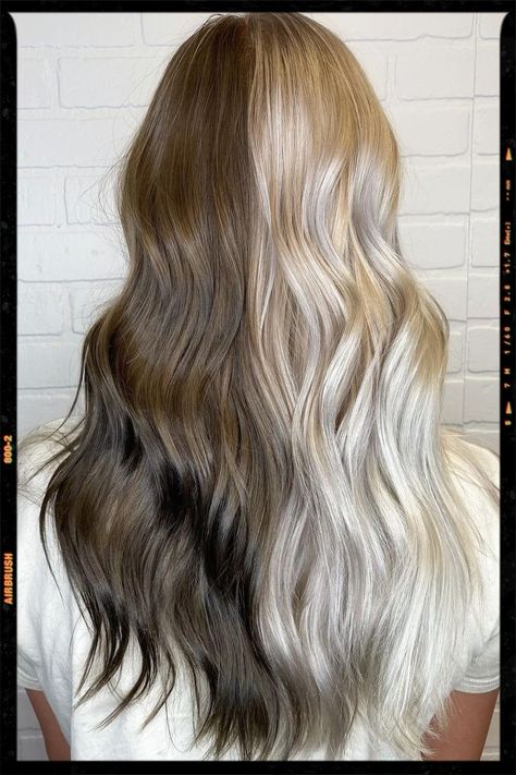 Half black and half white hair. Blond And Brunette Hair Half, Half Blonde And Half Brown Hair, Light Brown And Silver Hair, Half Brown Half White Hair, Split Blonde And Brown Hair, Hair Color Ideas Half And Half, Half Dark Half Light Hair, Half Brunette Half Blonde Hair, Natural Split Dye Hair