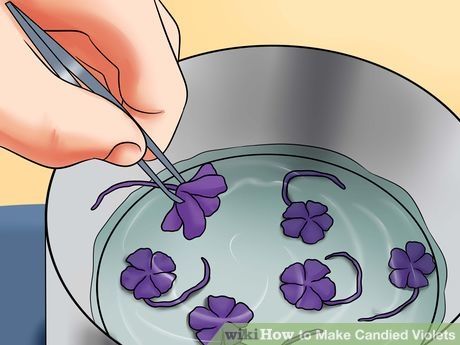 Image titled Make Candied Violets Step 10 Candied Violets, Candy Stores, Egg White Recipes, Edible Flowers Recipes, Date Bars, Liquid Sugar, Foraging Recipes, Desserts With Biscuits, Vegan Candies