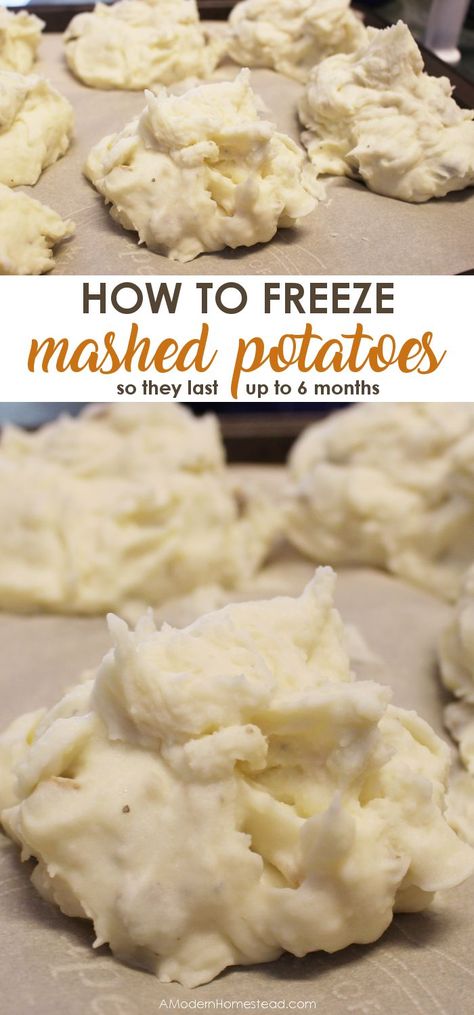 How To Freeze Mashed Potatoes - https://www.amodernhomestead.com/how-to-freeze-mashed-potatoes/ Meals You Can Freeze And Reheat, Freeze Mashed Potatoes, Individual Freezer Meals, Homemade Mashed Potatoes Recipe, Freezing Mashed Potatoes, Frozen Mashed Potatoes, Individual Beef Wellington, Freezing Vegetables, Freezer Food