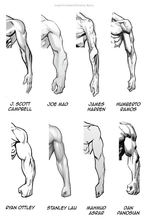 Dry Erase Anatomy Books (Kato Anatomy) by Masters Of Anatomy — Kickstarter Back Anatomy Muscle, Masters Of Anatomy Poses, Muscle Anatomy Drawing, How To Draw Anatomy, Anatomy Books, Arms Drawing, Anatomy Tips, Draw Anatomy, Muscles Anatomy