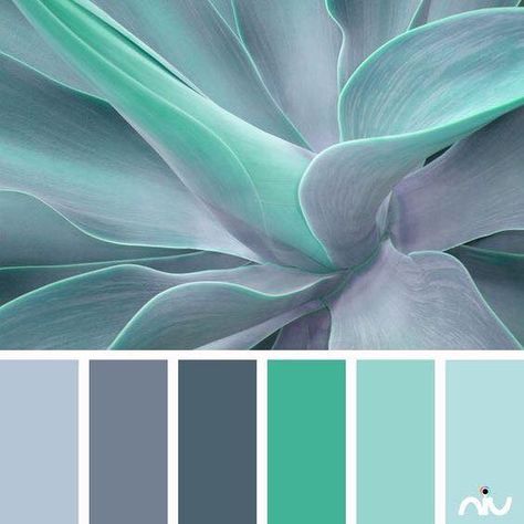 Turquoise Color Combinations, Color Schemes Colour Palettes, Palette Ideas, Color Palate, Color Balance, Colour Schemes, Turquoise Color, Color Pallets, Color Swatches