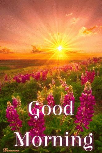 Good Morning GIF - Good Morning Goodmorning - Discover & Share GIFs Hemant Kumar, Good Morning Gif Images, Good Morning Nature Images, Good Morning Wishes Gif, Good Morning Thursday, Good Morning Greeting Cards, Flowers Artwork, Good Morning Beautiful Gif, Good Morning Happy Sunday