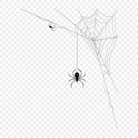 hand drawn cartoon spider png element Spider Cartoon Drawing, Spider Png, Drawing Spider, Spider Cartoon, Cartoon Spider, Spider Drawing, Drawing Png, Car Drawing, Drawing Cartoon