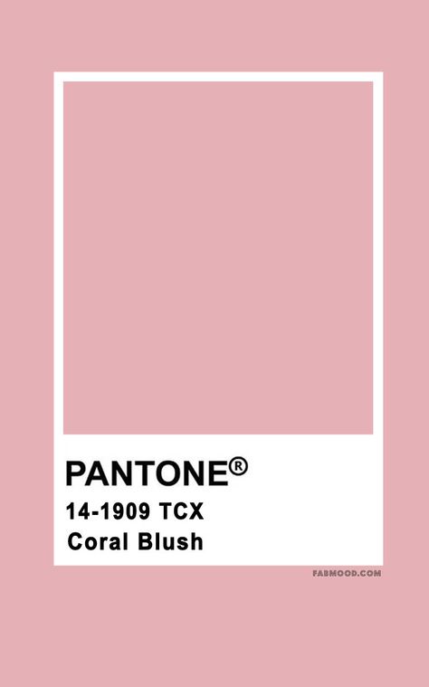 Light Pink Pantone Colour Palettes, Blush Pantone, Blush Pink Pantone, Blush Pink Color, Pantone Rosa, Pink Pantone, Pantone Colors, Coral Pantone, Pantone Trends