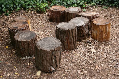 tree stump seats Stump Seats, Cake Stand Centerpiece, Log Chairs, Wood Edging, Christmas Wedding Cakes, Log Table, Kids Picnic Table, Stump Table, Aspen Tree