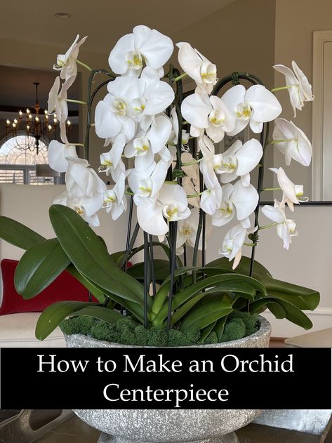 How to Make an Orchid Centerpiece - Happy Haute Home White Orchid Plant Centerpiece, Orchid Plants Decor, Centerpieces With Orchids, Orchids As Centerpieces, Live Orchid Centerpiece, How To Plant Orchids In Pots, Orchid Container Ideas, Orchid Planter Ideas Flower Pots, Orchid Arrangements Diy