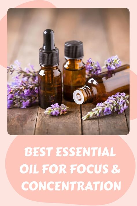 Best essential oil for concentration Essential Oil For Focus, Essential Oils Focus, Essential Oils Kit, List Of Essential Oils, Focus And Concentration, Essential Oil Carrier Oils, Essential Oil Benefits, Pulse Points, Roll On Bottles