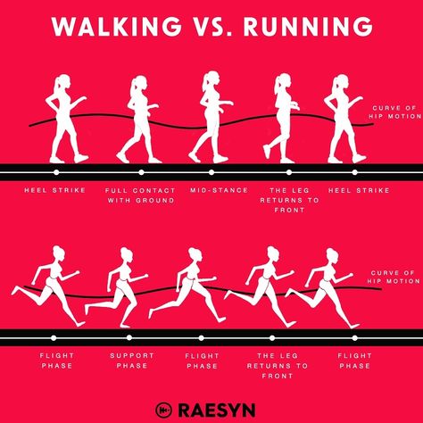 🚶‍♂️ Walking vs. Running: It’s not just about speed.🏃‍♂️ Many think walking is just a lighter form of running. But the biomechanics tell a different story… 👣 Mechanics: In walking, one foot remains grounded at all times, leading to a heel-to-toe motion, while running involves brief moments with both feet off the ground. Forces on your feet vary, with walking exerting about half the force of running. Walkers have shorter strides and slower cadence compared to runners, demanding prolonged s... Running Poster, Running Posters, Benefits Of Walking, Cold Coffee, The Force, Walkers, Coffee Drinks, Force, Motion