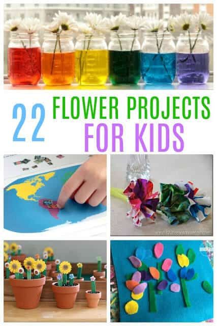 Flowers Kindergarten, Flower Activities For Kids, Flower Math, Springtime Activities, Flower Science, Kids Experiments, Germany For Kids, Garden School, Summer Preschool Crafts