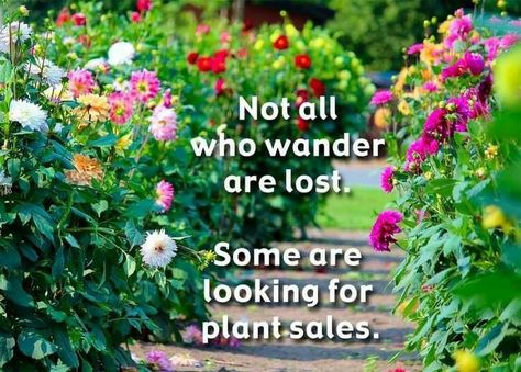 Greenery Quotes, Gardening Jokes, Garden Humor, Gardening Memes, Funny Garden Signs, Garden Puns, Gardening Quotes, Garden Works, Gardening Humor