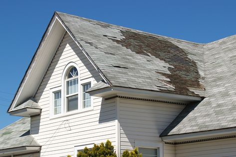 Roofing: Repair or Replace? Roofing Ideas, Roof Damage, Roof Inspection, Residential Roofing, Commercial Roofing, Roofing Companies, Cool Roof, Roof Styles, Roofing Services