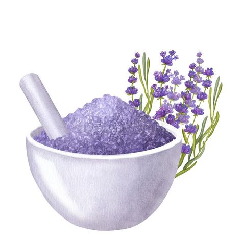 White mortar with lavender sea salt. Bowl and pestle. Aromatherapy, spa, bath. Hand draw watercolor illustration royalty free stock photography Salt Perfume, Perfume Watercolor, Watercolor Violet, Fragrance Quote, Violet Design, Salt Bowl, Draw Watercolor, Lavender Bath Salts, Spa Bath