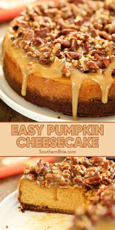 Check out this new take on cheesecake that swaps out the basic graham cracker crust for a gingersnap cookie crust, then tops that off with a caramel pecan topping. This easy and delicious recipe brings together the best of pumpkin, cheesecake, and pecan pie in one delicious dessert that's sure to be a hit at your next gathering! Maple Pecan Pumpkin Cheesecake, Pumpkin Cheesecake With Streusel Topping, Pumpkin Cheesecake With Candied Pecans, Cheesecake With Walnut Crust, Pumpkin Pecan Cheesecake Factory, The Best Pumpkin Cheesecake Recipe, Pumpkin Cheesecake Pound Cake, Pumpkin Cheesecake With Caramel Sauce, Graham Cracker Crust Pumpkin Cheesecake