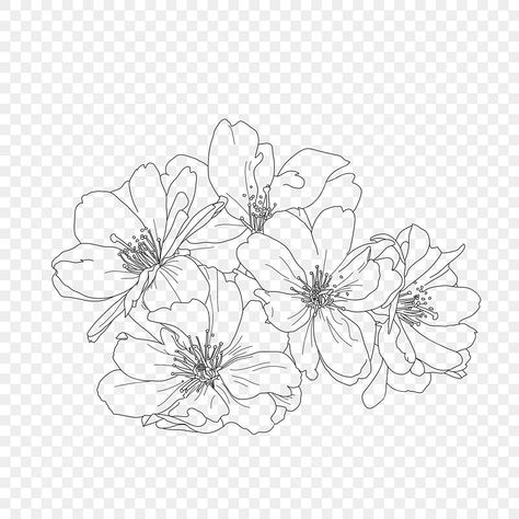 Flower Png Transparent, Line Drawing Flower, Flower Line Drawing, Wing Drawing, Transparent Art, Flower Png Images, Flower Sketch, Transparent Clipart, Flower Line Drawings