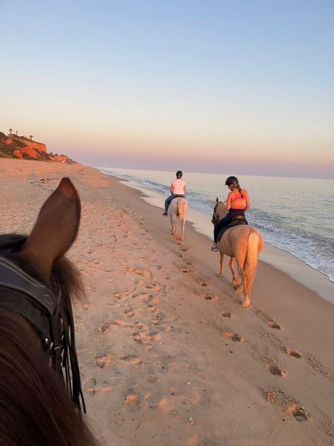 Horse Riding On Beach Aesthetic, Horse Riding At The Beach, Horse Ride On Beach, Horses On The Beach Aesthetic, Horse Riding Aesthetic Beach, Horse Back Riding On Beach, Horse Beach Aesthetic, Horse On Beach Aesthetic, Trail Rides Horses