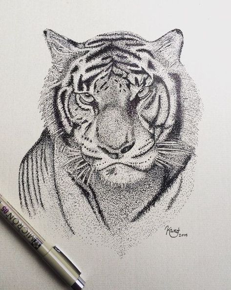 Drawing Of Tiger, Pointillism Drawing, Pointalism Art, Micron Pen Art, Stippling Drawing, Dotted Drawings, Tiger Artwork, Tiger Drawing, Stippling Art