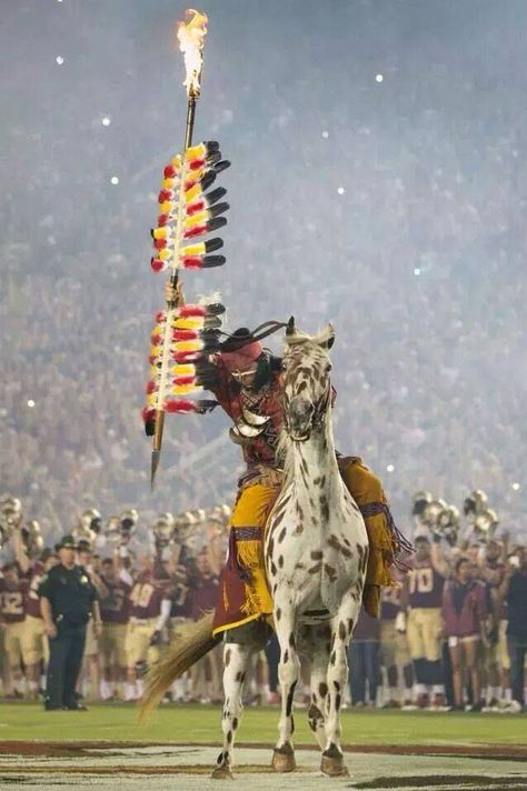 Chief Osceola and the planting of the spear at DOAK Noles Football, Florida State Seminole, Florida State Seminoles Football, Florida State Football, Seminoles Football, Fsu Football, Do Your Homework, Fsu Seminoles, College Football Season