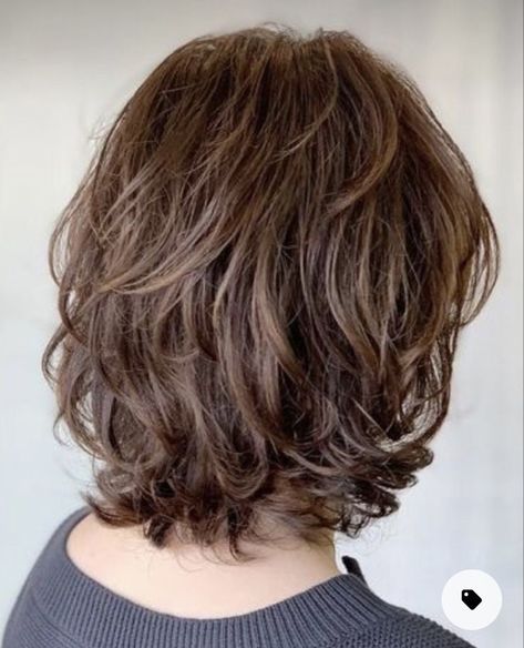 Pin on Hair medium Meg Ryan Hairstyles Over 50, Short Layers Back View, Razor Cut Bob For Fine Hair, Haircuts For Medium Length Hair, Layered Haircuts For Medium Hair, Hair Inspiration Short, Haircuts For Wavy Hair, Short Hairstyles For Thick Hair, Shoulder Length Hair Cuts