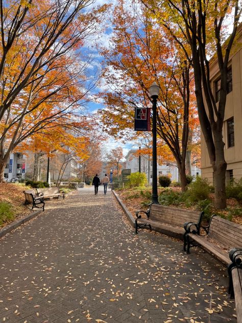 Georgetown Washington Dc Fall, Autumn In Dc, Washington Dc Aesthetic Fall, Washington Dc Autumn, Washington Dc October, Washington Dc In Fall, Fall In Washington Dc, Fall In Dc, Usa University Aesthetic