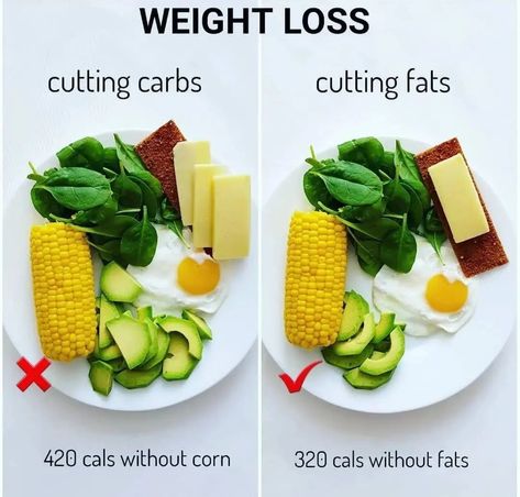 Avocado Meals, No Carbs, Low Carb Diets, Makanan Diet, Nuts And Seeds, Diet Keto, Food Facts, High Protein Recipes, No Carb Diets