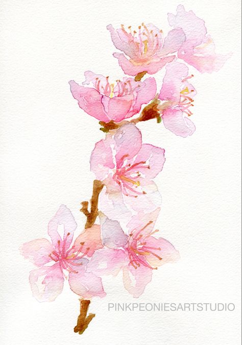 Plum Blossom Watercolor, Water Colour Cherry Blossom, Japanese Painting Easy, Flower Branch Painting, Wisteria Nails, Pink Simple Wallpaper, Watercolor Japanese Art, Watercolour Cherry Blossom, Japanese Watercolor Art