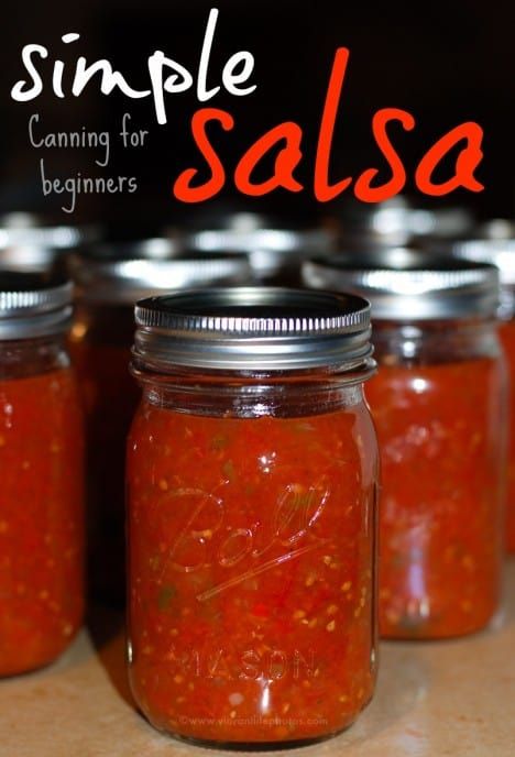 DIY Salsa Canning for Beginners: Use Up Ripe Tomatoes - Venture1105 Diy Salsa, Canning For Beginners, Canning Instructions, Canned Salsa, Simple Salsa, Salsa Canning Recipes, Easy Canning, Ball Canning Jars, Toples Kaca