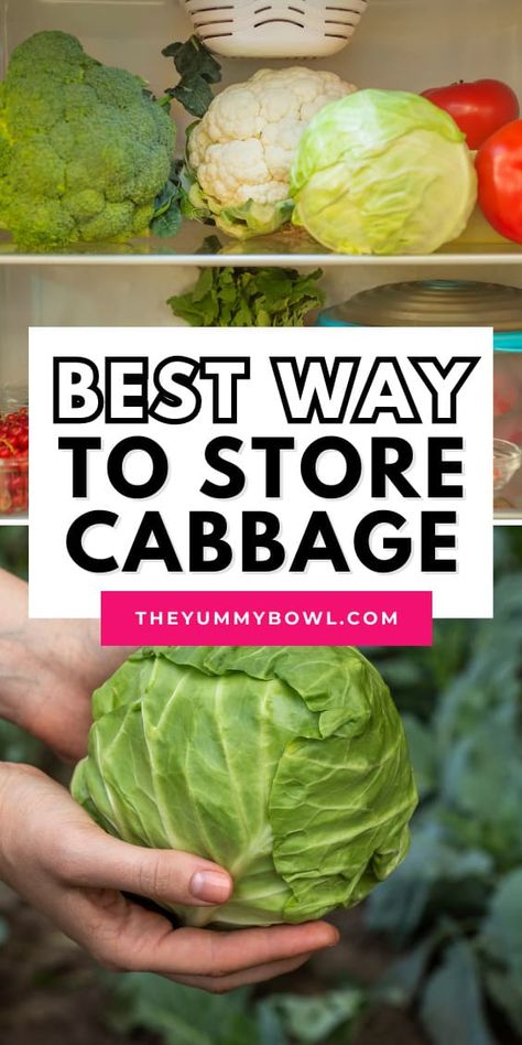 Cabbage Storage, Storing Cabbage, How To Store Cabbage In Refrigerator, How To Preserve Cabbage, How To Preserve Fresh Cabbage, Storing Cabbage For Winter, Storing Cabbage In Fridge, How To Store Cabbage, How To Prepare Cabbage