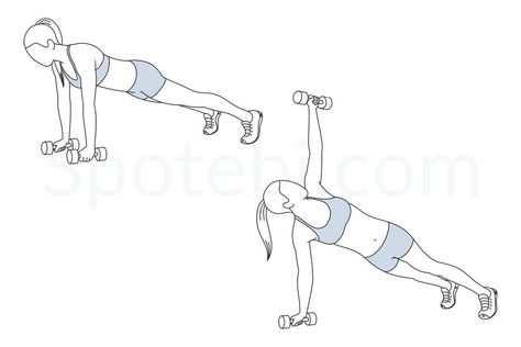 Plank rotation exercise guide with instructions, demonstration, calories burned and muscles worked. Learn proper form, discover all health benefits and choose a workout. Face Pull Exercise, Plank Rotation, Workout Illustration, Fitness Flyer, Chest Fly, Chest Press, Back Fat Workout, Bicycle Crunches, Core Workouts