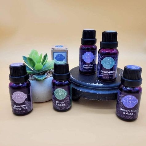 Scentsy Essential Oils, Scentsy Diffuser, Scentsy Oils, Eucalyptus Lavender, Freshen Up Your Home, Scentsy Fragrance, Aroma Diffuser, Tree Oil, White Tea