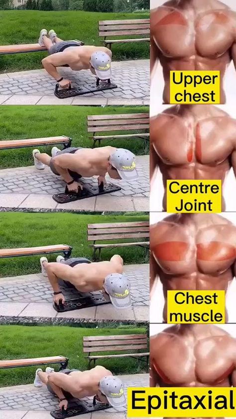 Chest Workout At Home, Latihan Dada, Trening Sztuk Walki, Best Chest Workout, Gym Workout Planner, Bodybuilding Workout Plan, Abs Workout Video, Gym Workout Chart, Workout Training Programs