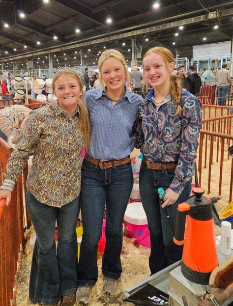 Showing Cattle Outfits, Stock Show Outfits Cattle, Cattle Showing Outfits, Cute Livestock Show Outfits, Livestock Showing Outfits, Showing Livestock Outfits, Pig Show Outfits, Show Outfits Livestock, Livestock Outfits