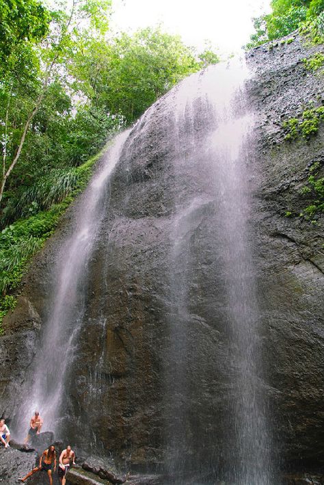 St. Lucia’s Most Amazing And Famous Waterfalls St Lucia Waterfall, St Lucia Island, St Lucia Honeymoon, St Lucia Day, Hot Pools, Famous Waterfalls, Scout Camping, Natural Heritage, Island Tour