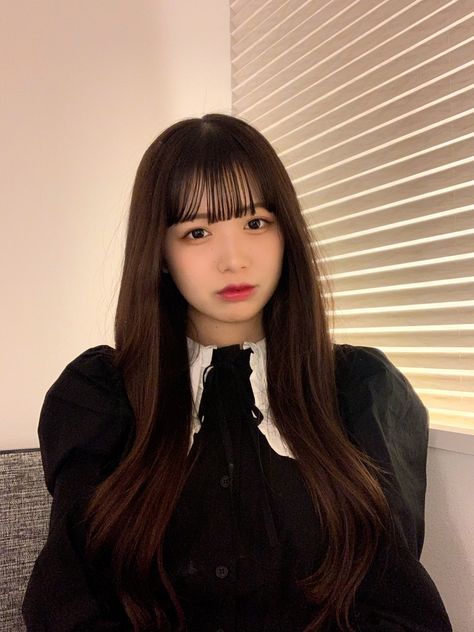 Faaaariii_ No Bangs, Photoshoot Concept, Model Hair, Cute Hairstyles, Bangs, Log In, Log, Hairstyles, Long Hair Styles