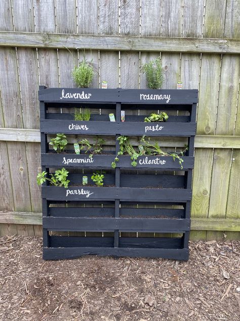 Pallet herb garden, matte black paint with accent white lettering. Boards were added in addition to in various areas to hold plants. Diy Herb Garden Pallet, Herb Garden From Pallets, Herb Boxes Outdoor, Herb Pallet Garden, Pallet Herb Garden Diy, Porch Herb Garden Ideas, Herb Wall Outdoor, Pallet Herb Garden Diy How To Build, Small Herb Garden Ideas