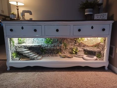 Bearded Dragon Enclosure Ideas, Tartaruga Habitat, Snake Tanks, Diy Bearded Dragon Enclosure, Bearded Dragon Terrarium Ideas, Dragon Terrarium, Pet Enclosures, Bearded Dragon Diy, Bearded Dragon Terrarium