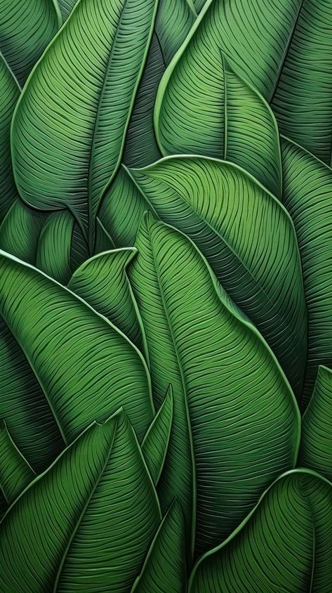 Banana Leaf Background, Iphone Wallpaper Art, Shadow Tree, Banana Leaf Art, Banana Leaf Pattern, Abstract Trees, Palm Tree Plant, Banana Leaf Wallpaper, Monkey Art